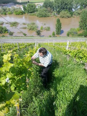 Roman Kubli im Steinbruch